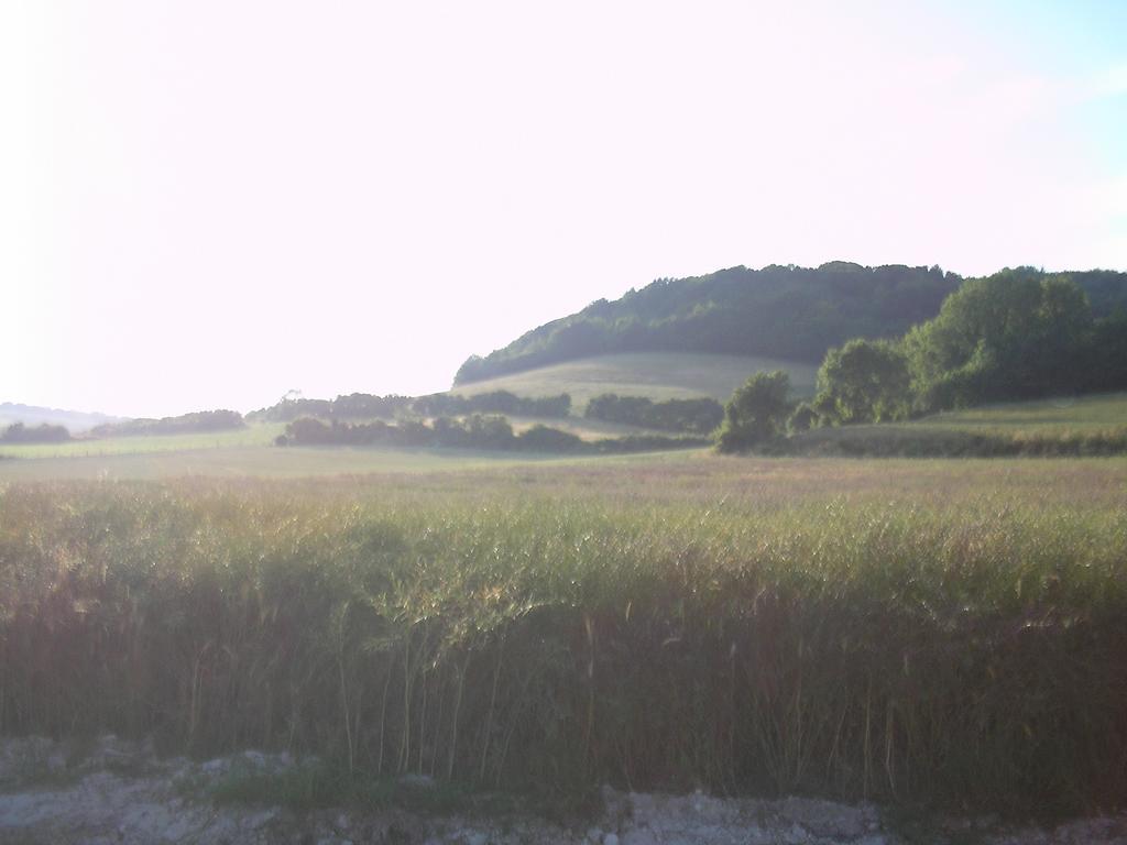 Gite la Solitude Licques Camera foto